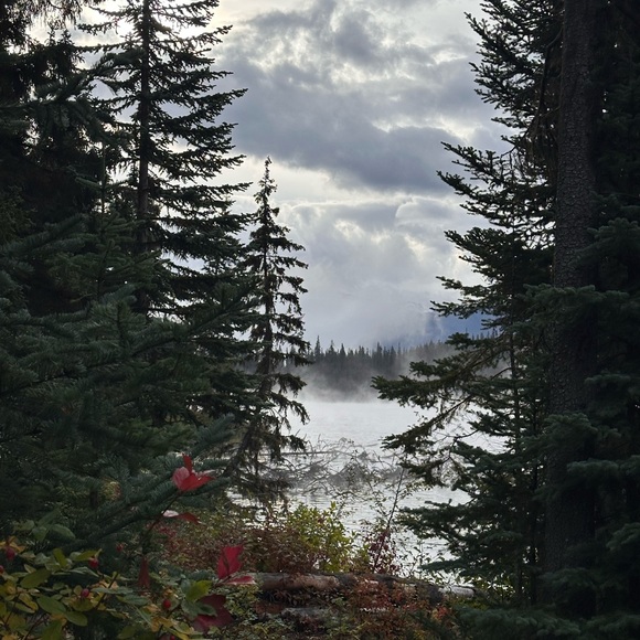 Meet your Posher - Picture 1 of 1